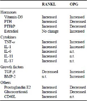 Table 1 : Molécules régulant l’expression de RANKL et de l’OPG 141