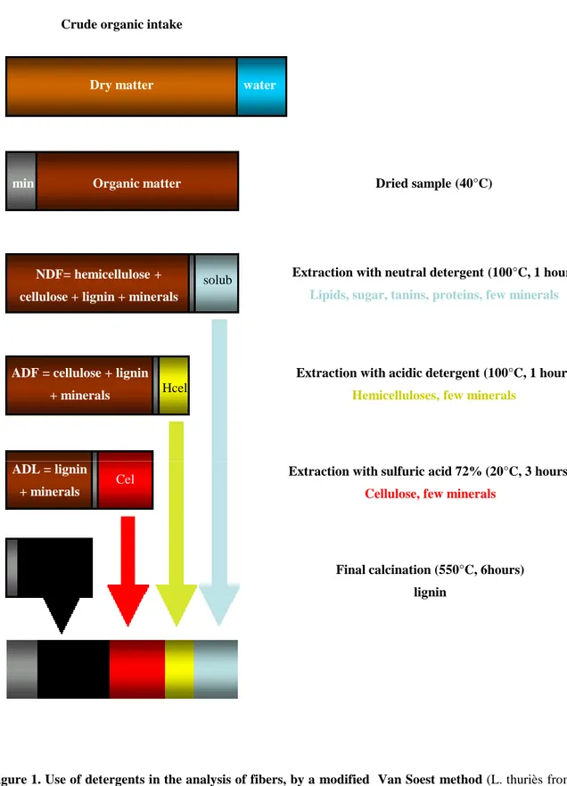 Figure 1. Use of detergents in the analysis of fibers, by a modified Van Soest method (L