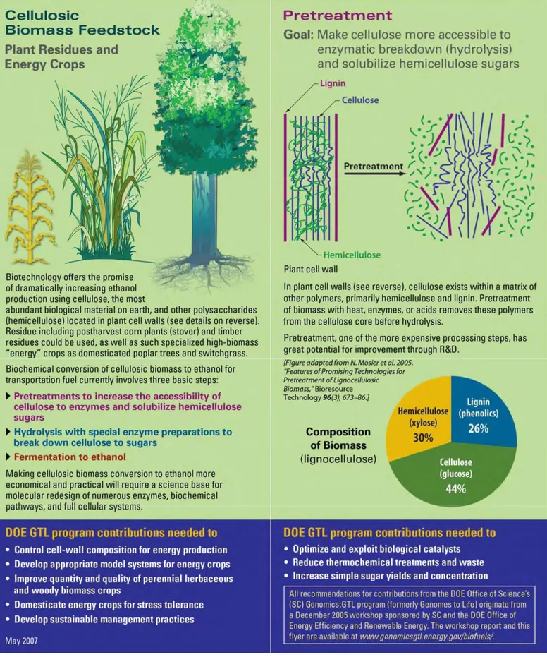Figure 2. From biomass to cellulosic ethanol ( https://public.ornl.gov/ )