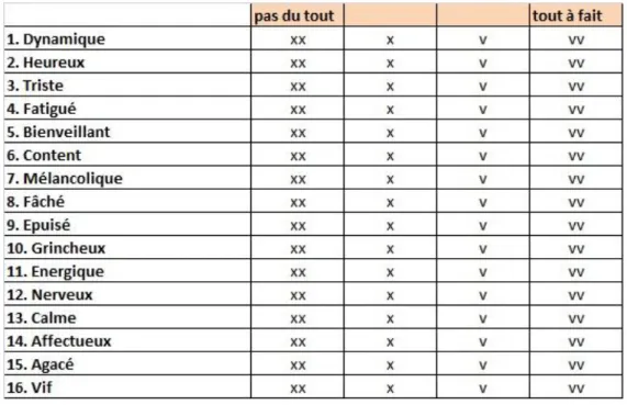 Tableau 2 Exemple de Brief Mood Inventory Scale 