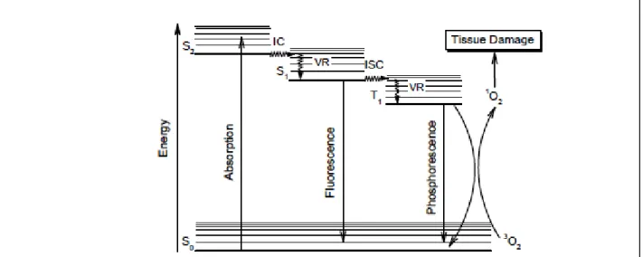 Figure 13 : Diagramme de Jablonski présentant les différents états des PS après photo-activation