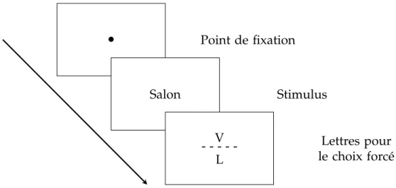 Figure 2.5 – Paradigme de choix forcé mis au point par Reicher (1969) et Wheeler (1970)