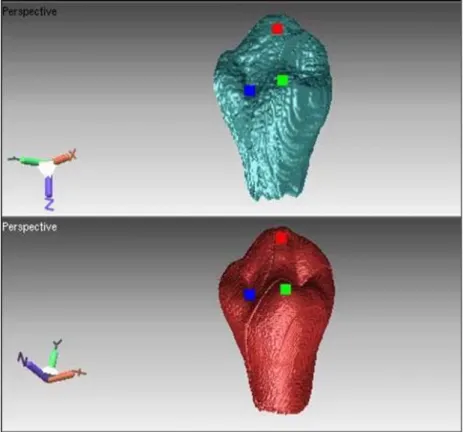 Figure 25. Positionnement des trois points sur les reconstructions tridimensionnelles de la 44  dans  Rapidform (v