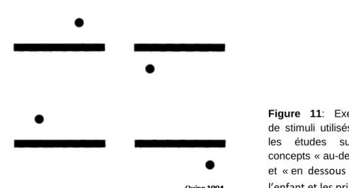 Figure 11:  Exemples  de stimuli utilisés dans  les études sur les  concepts « au-dessus »  et « en   dessous » chez 
