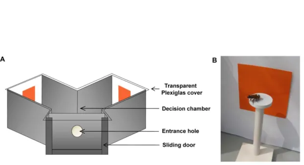 Figure 1: Set-up used in this study.  