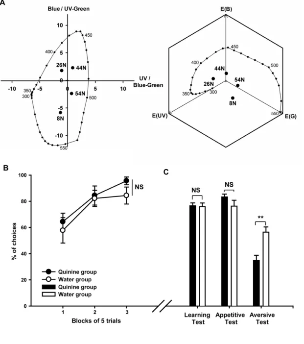 Figure 2: Results of Experiment 1: Does quinine improve visual discrimination of 