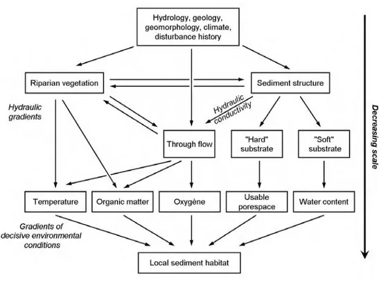 Fig. 2. Hierarchical conceptualisation of factors controlling local sediment habitat 