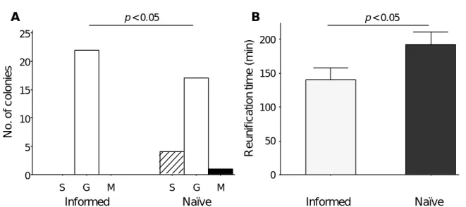 Figure II.5 Prior experience and speed-accuracy trade-off (experiment II.3), final state 