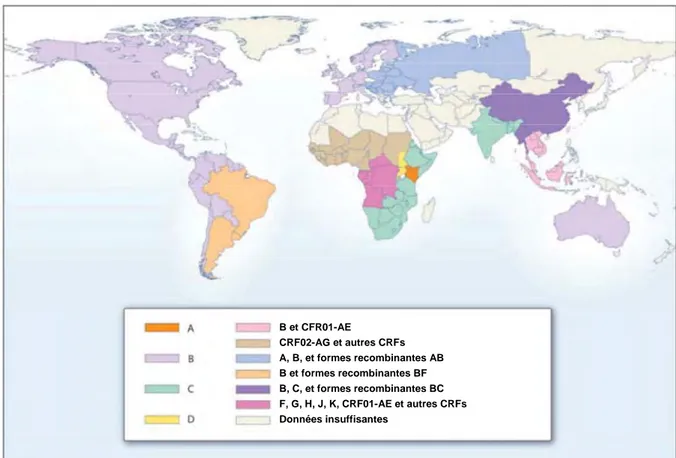 Figure 5. Distribution globale actuelle des sous-types et CRFs du HIV-1 (Source : Taylor 