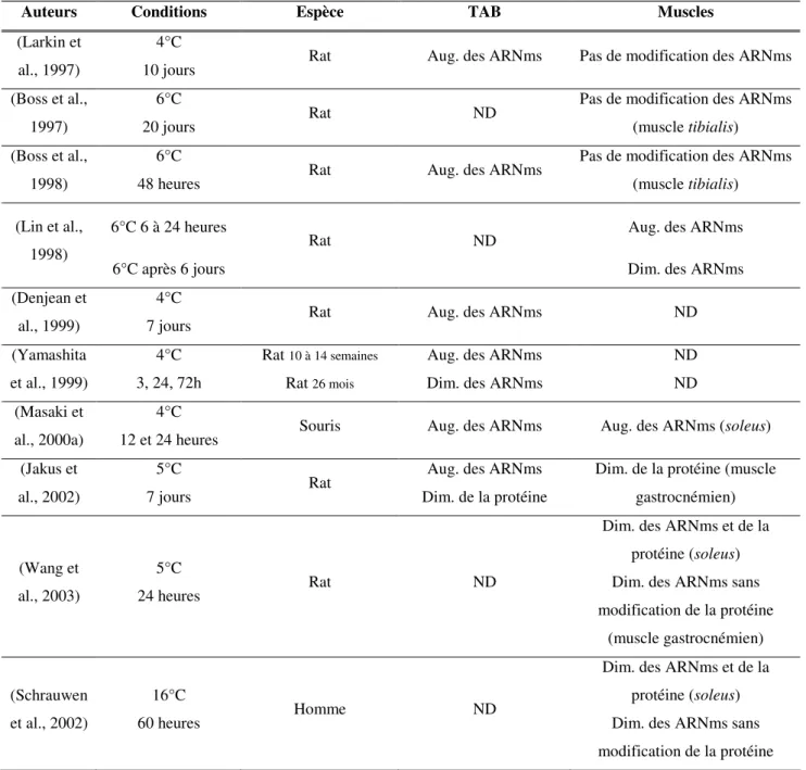 Tableau 3 : Régulation par le froid d’UCP3 (arguments expérimentaux). 