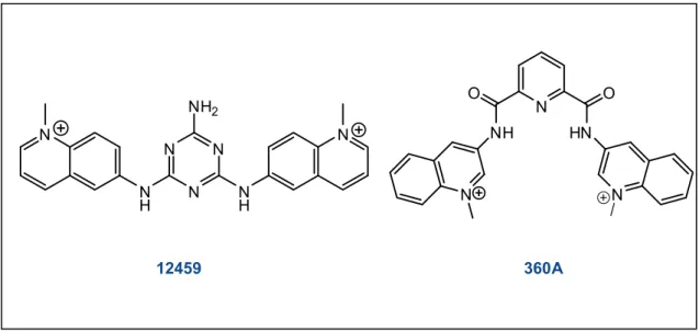 Figure 7 : Structure du dérivé de triazine 12459 et des dérivées de bisquinolinium 360A et 