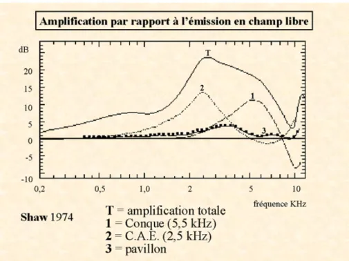 Figure 1.2 : Fonction d’amplification par différentes parties de l’oreille externe : la conque (1), le conduit auditif externe (2)  et  le  pavillon  (3)