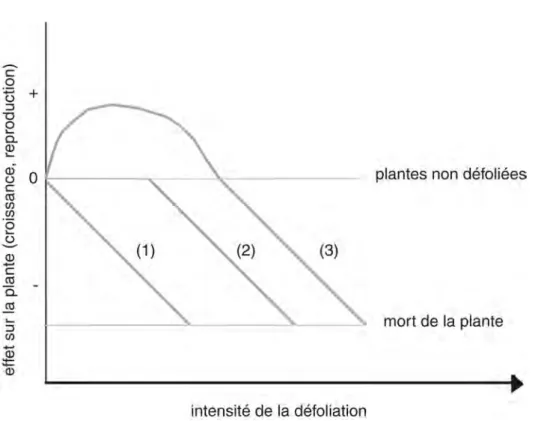 Figure 5: Effets des phytophages sur la croissance et la performance des plantes 