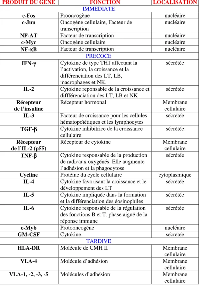 TABLEAU 1 : liste non exaustive des produits des gènes activés au cours de la  signalisation au sein des lymphocytes T (adapté (Crabtree 1989) 