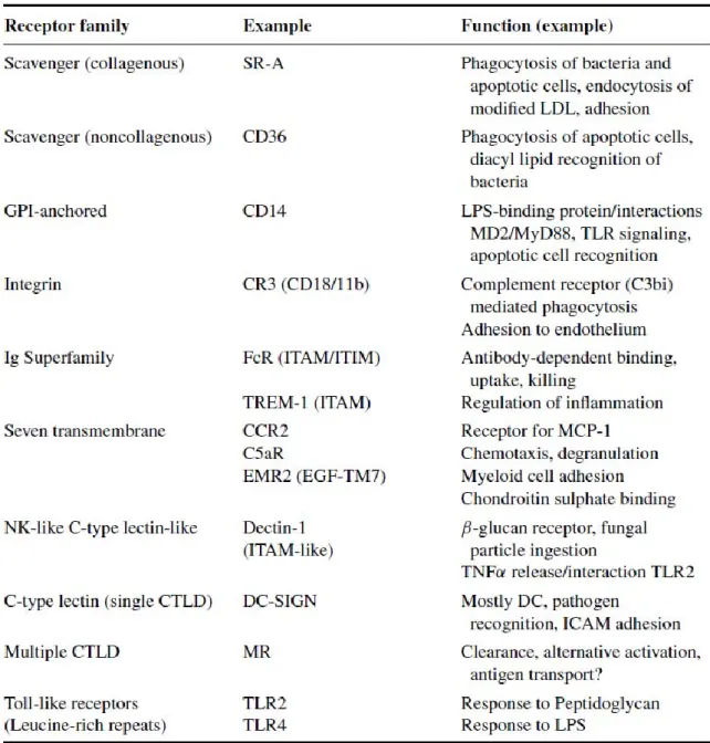 Tableau 1 Taylor PR et al. Annu Rev Immunol 2005, 23:901-944 : 