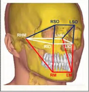 Figure 9: The figure illustrated the identification of the four facial landmarks defining the 