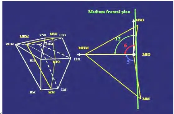 Figure 12:  Main antero-posterior basis parameters 