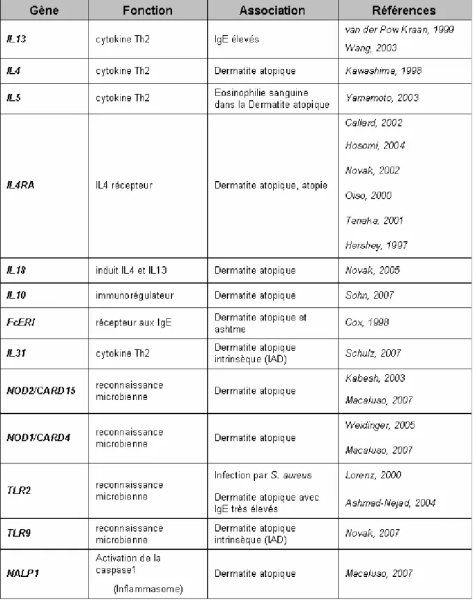 Tableau  1-  Gènes  de  la  réponse  immunitaire  dont  les  polymorphismes  sont  associés au développement de la dermatite atopique.