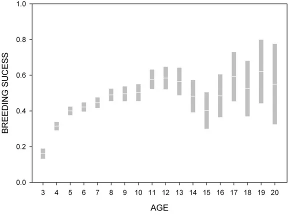 Figure 1. Breeding success as a function of age (based on the overall population). White  lines indicate means and grey bars indicate 95% confidence intervals)
