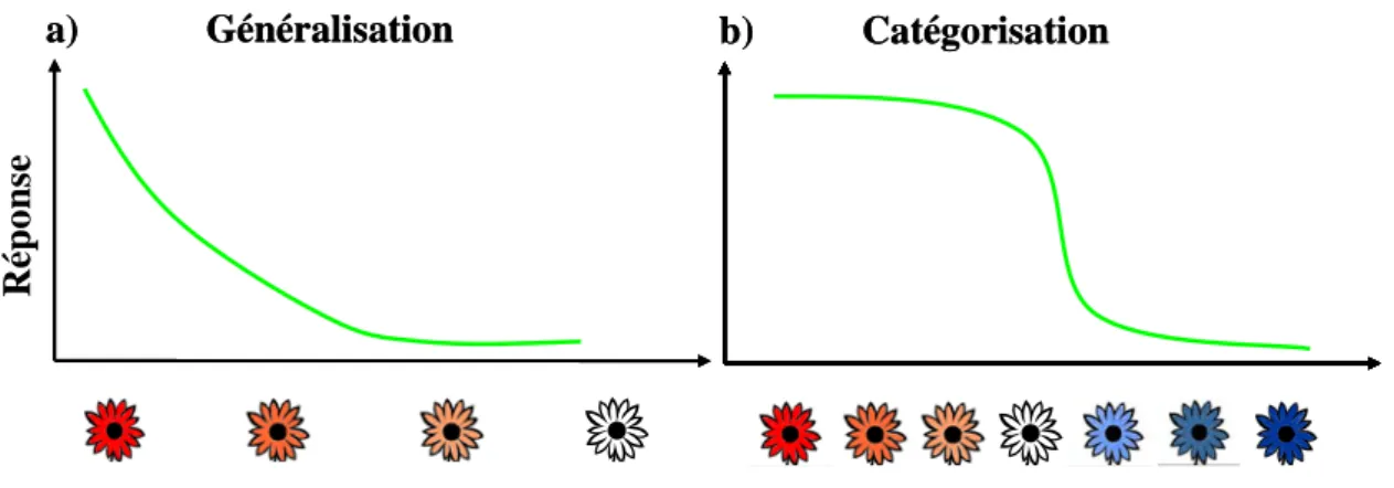 Figure 1 :  Schématisation simple des processus de Généralisation (a) et Catégorisation (b)