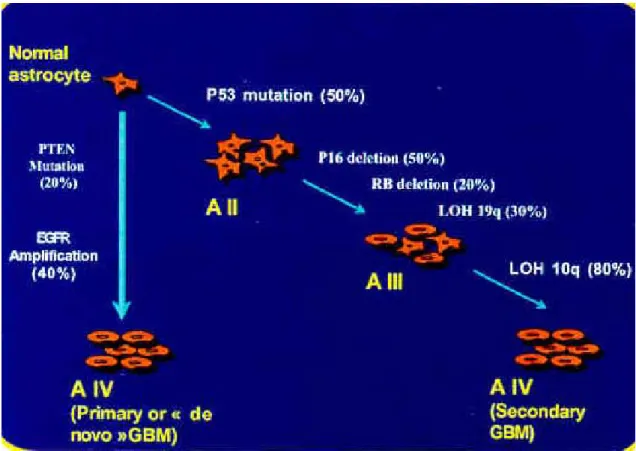 Figure 3 :  Schéma représentant les différents types d’altérations ou anomalies 