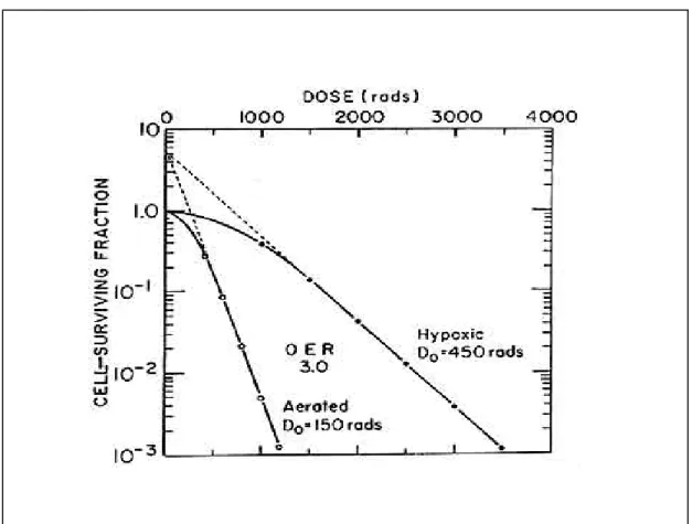 Figure 4 :  Courbe de survie de cellules de mammifères après irradiation en présence 