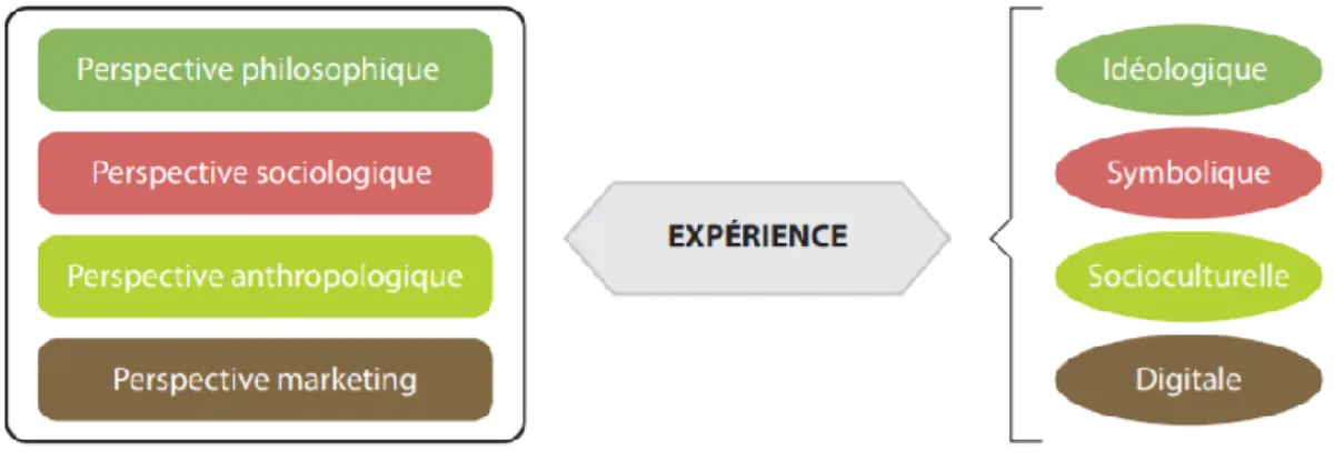 Figure 2 - Perspectives et formes de l'expérience 