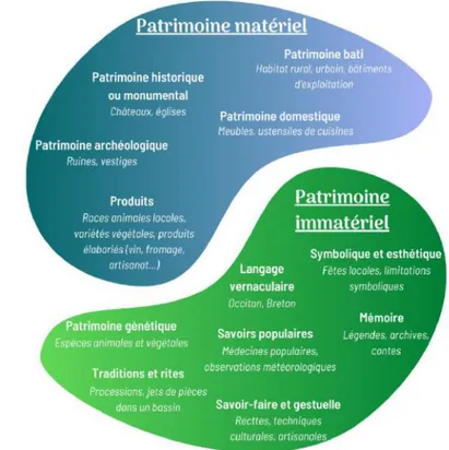 Figure 1 : Sous-catégories des patrimoines matériels et immatériels et exemples de  biens 