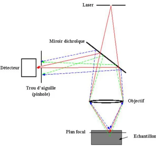 Figure 8 : Principe de la microscopie confocale 