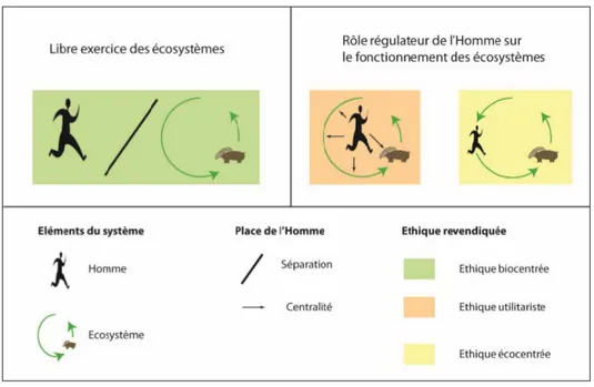 Figure 6 : Différente vision du rôle de l'homme face à la nature 43