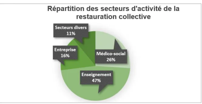 Figure B : Répartition des secteurs d'activité de la restauration collective.