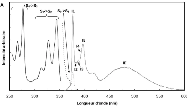 Figure 3.2. (A) Allure des spectres d’absorption (noir) et  d’émission  de  fluorescence  (gris)  du  Py-met-chol  à  1  mM  dans  du  dioxane  et  à  température  ambiante