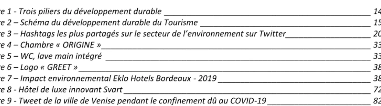 TABLE DES FIGURES 