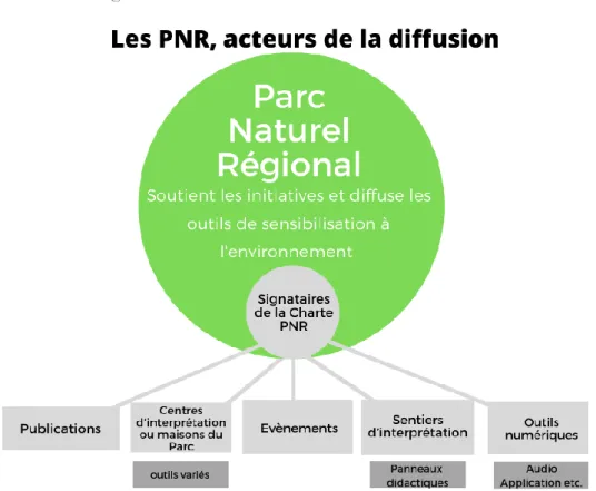 Figure 13 : Les outils de sensibilisation au sein des PNR 71