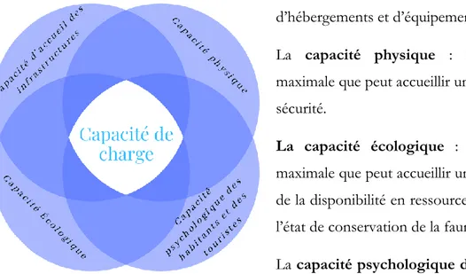 Figure 14 : Composition de la capacité de charge 