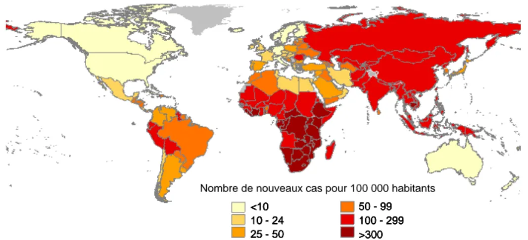 Figure 1 : Estimation de l'incidence de la tuberculose dans le monde en 2005. 