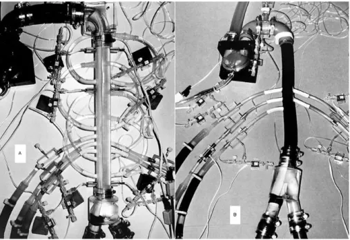 Figure 1.8  Fantôme d'une dissection aortique de type B. Rigide (A) et compliant (B), [24,25]