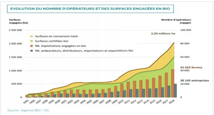 Figure 2 : Évolution du nombre d'opérateurs et de surfaces engagées dans la production de produits biologiques entre 1995 et 2018
