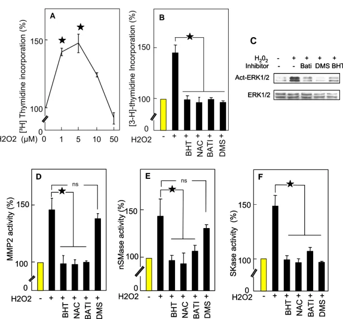 Figure 1. The mitogenic signaling of H2O2 involves the MMP2/sphingolipid pathway.