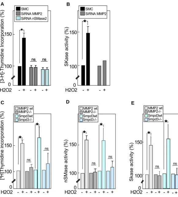 Figure 2. The activation of SK-1 by H2O2 requires the MMP2/nSMase2 pathway