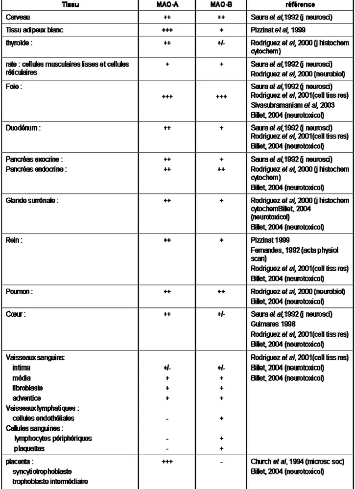 Tableau 1. Expression des MAO-A et -B chez l'Homme dans différents tissus (d'après Billett 2004) 