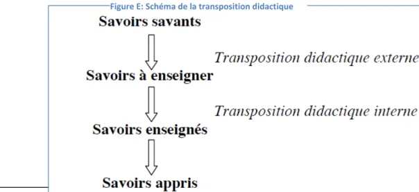 Figure E: Schéma de la transposition didactique