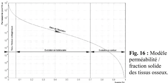 Fig. 16 : Modèle 