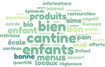 Figure n°8 : Nuage de mot réalisé à partir de nos micros-trottoirs. 