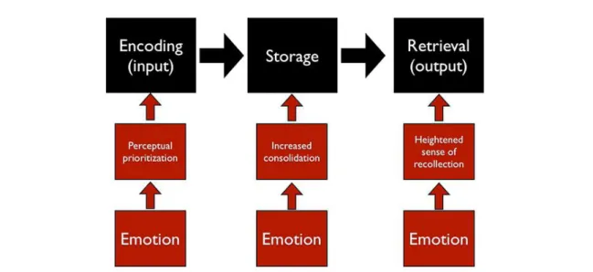 Figure 4 : Schéma de l'impact des émotions sur les étapes du traitement de la  mémoire 