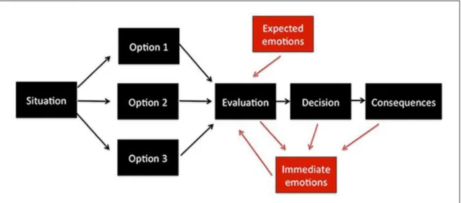 Figure 5 : Schéma de l’impact des émotions sur la prise de décision 