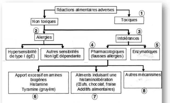 Figure 11 Représentation schématique de la classification des différentes réactions alimentaires adverses