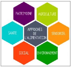 Figure 1: L'alimentation, un sujet multi-dimensionnel  