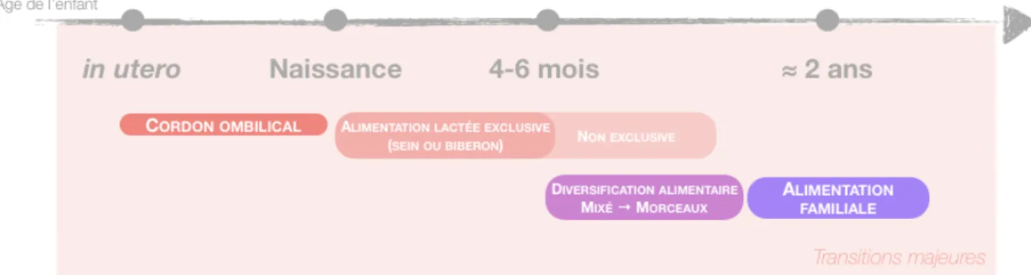 Figure 8 : Évolution des modes alimentaires chez le nourrisson 