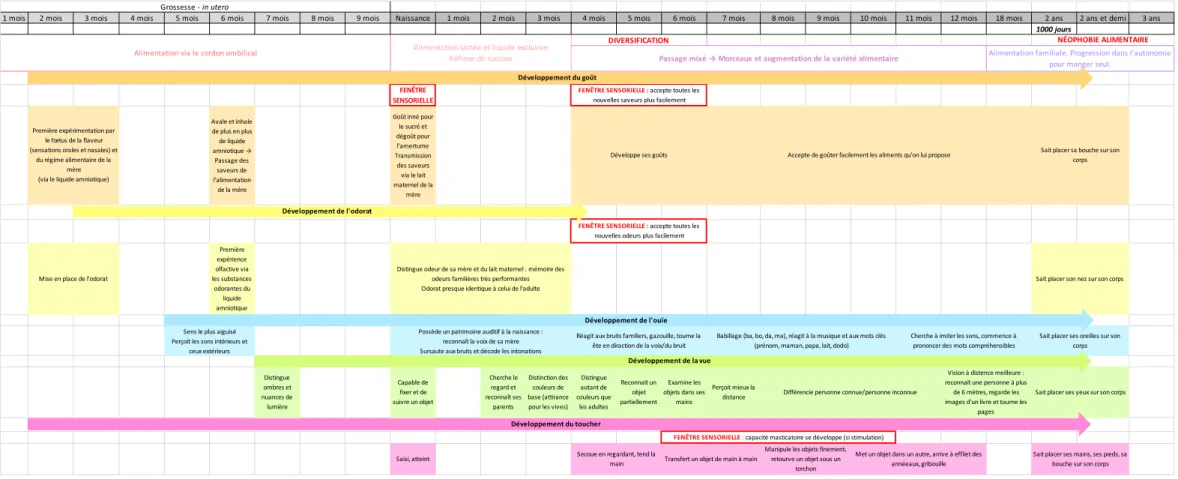 Tableau 2 :   Évolution et développement sensoriel et psychomoteur  